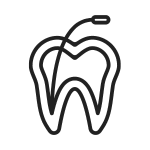 Endodoncia-Dentista-En-Tijuana-Dalia-Galindo
